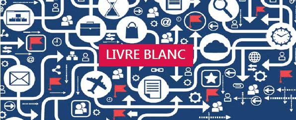 Livre blanc ERP NAV du Groupe HLi