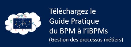 Guide pratique du BPM à l'iBPMs